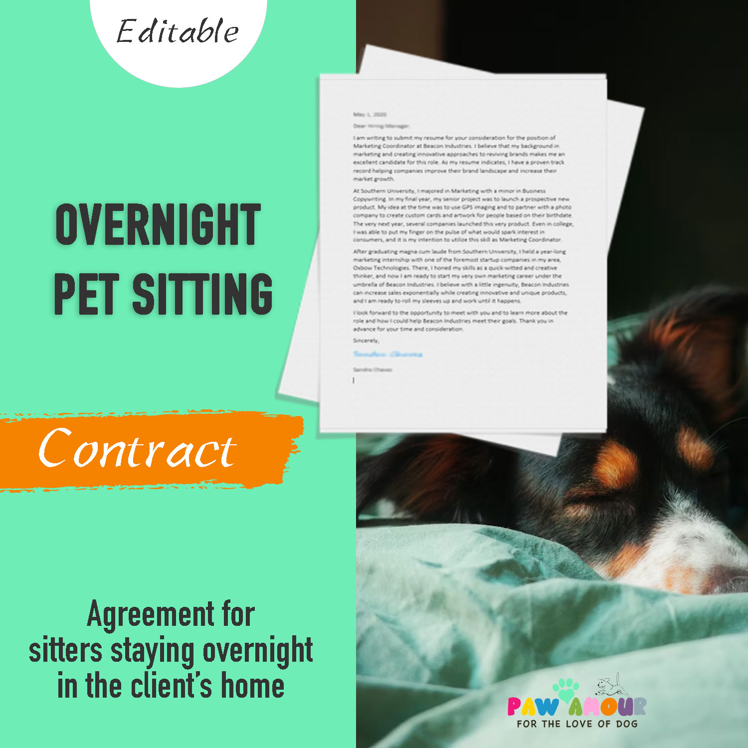 Overnight Pet Sitting Contract