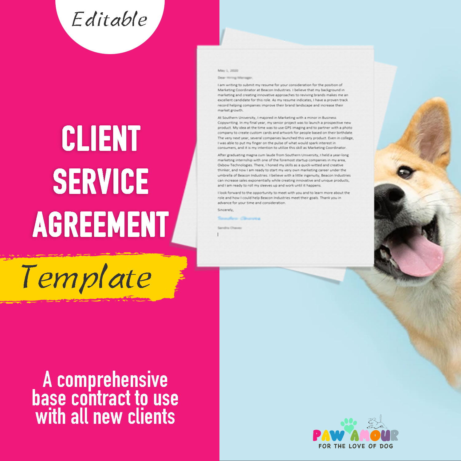 Client Service Agreement (Master Template)