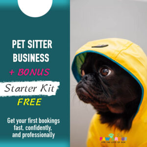 Business Starter Guide Extension